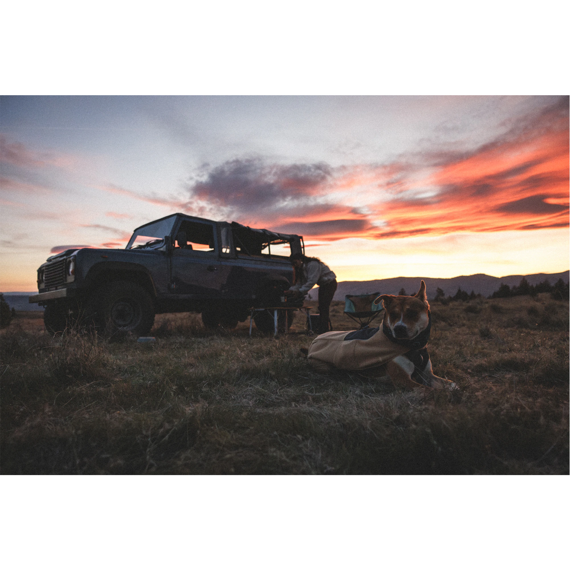 Ruffwear Timberline Fuse Fleece Vest