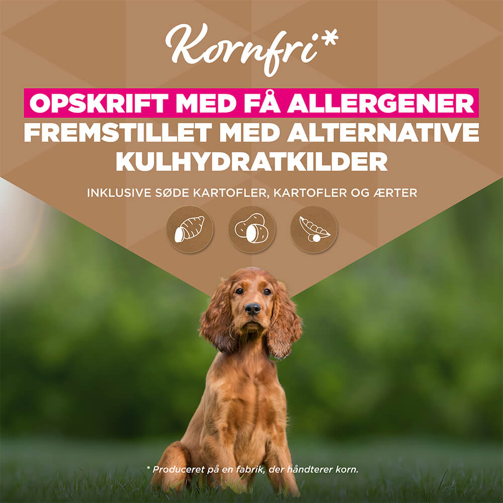 Eukanuba Dog Puppy Small/Medium Grainfree Hundefoder