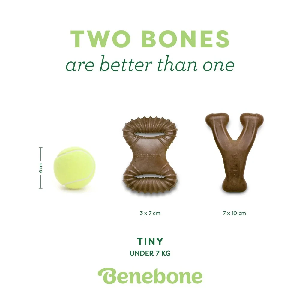 Benebone Tiny 2-Pack