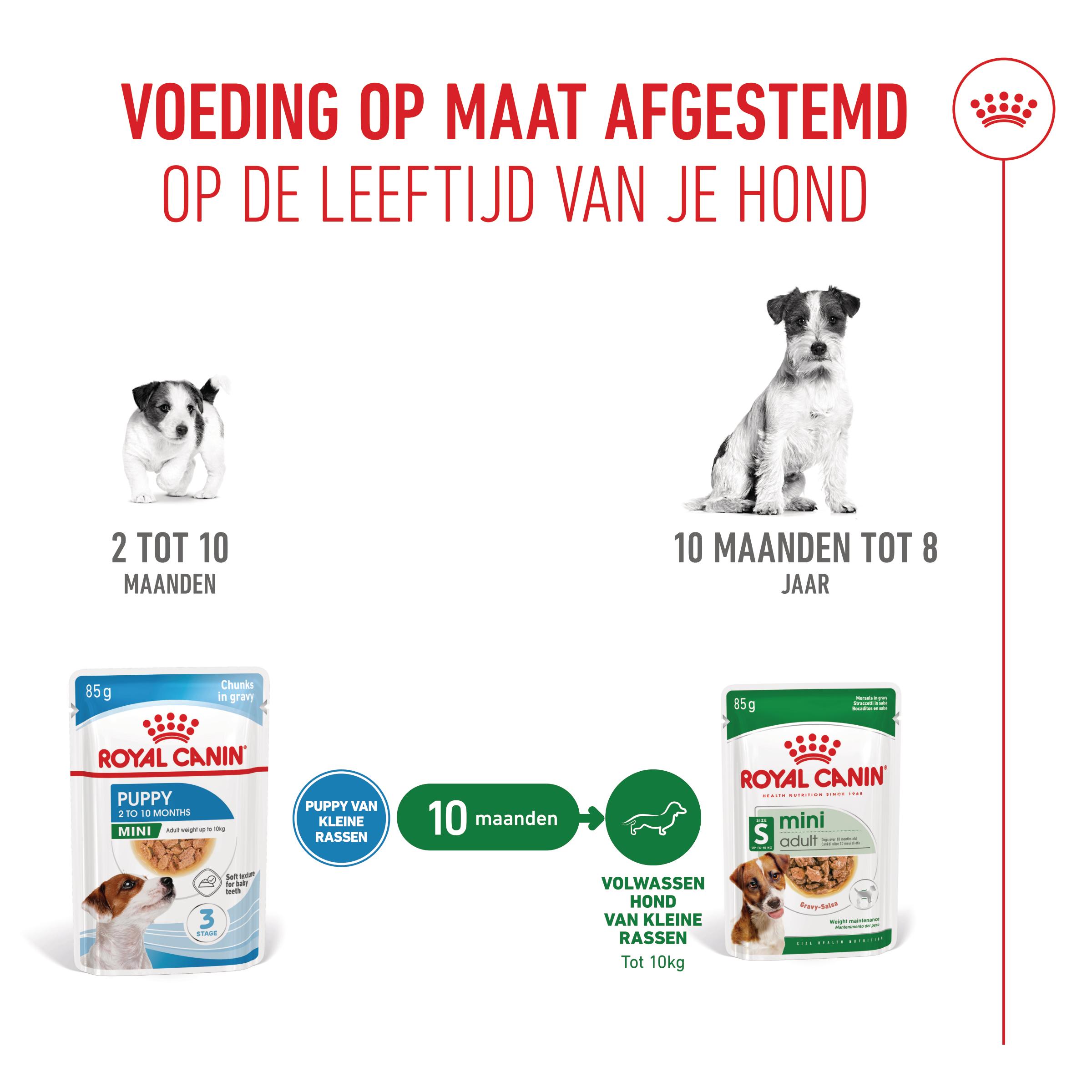 Royal Canin Mini Puppy Natvoer in Gravy 12x85g Royal Canin Size Nutrition