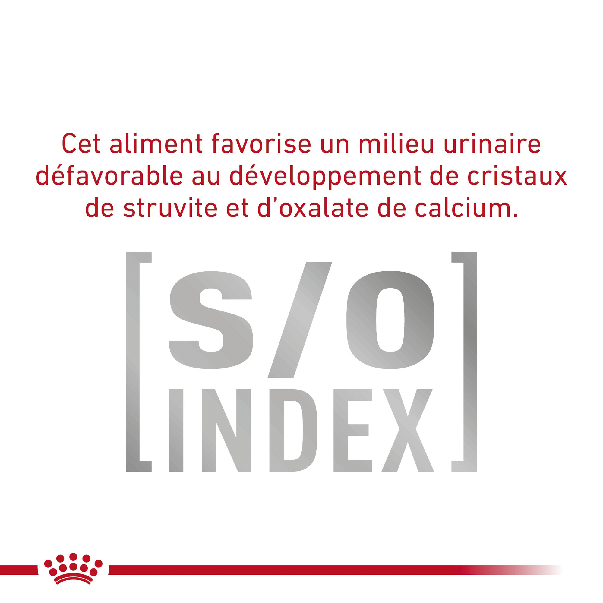 Royal Canin Diabetic - Boîte