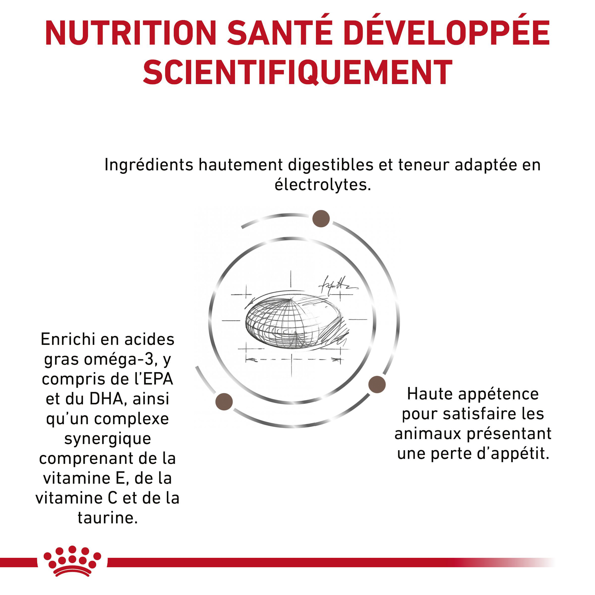 Royal Canin Gastro Intestinal Moderate Calorie - Chat