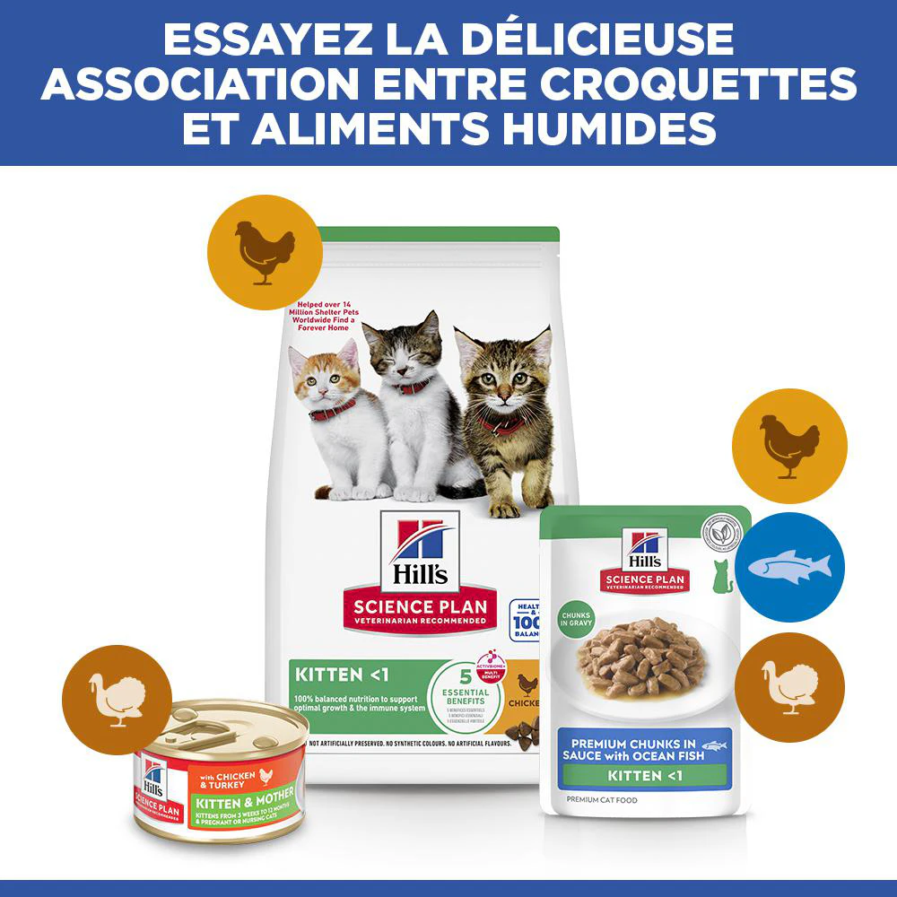 Hill's Science Plan - Chaton - Poisson de Mer - Sachet