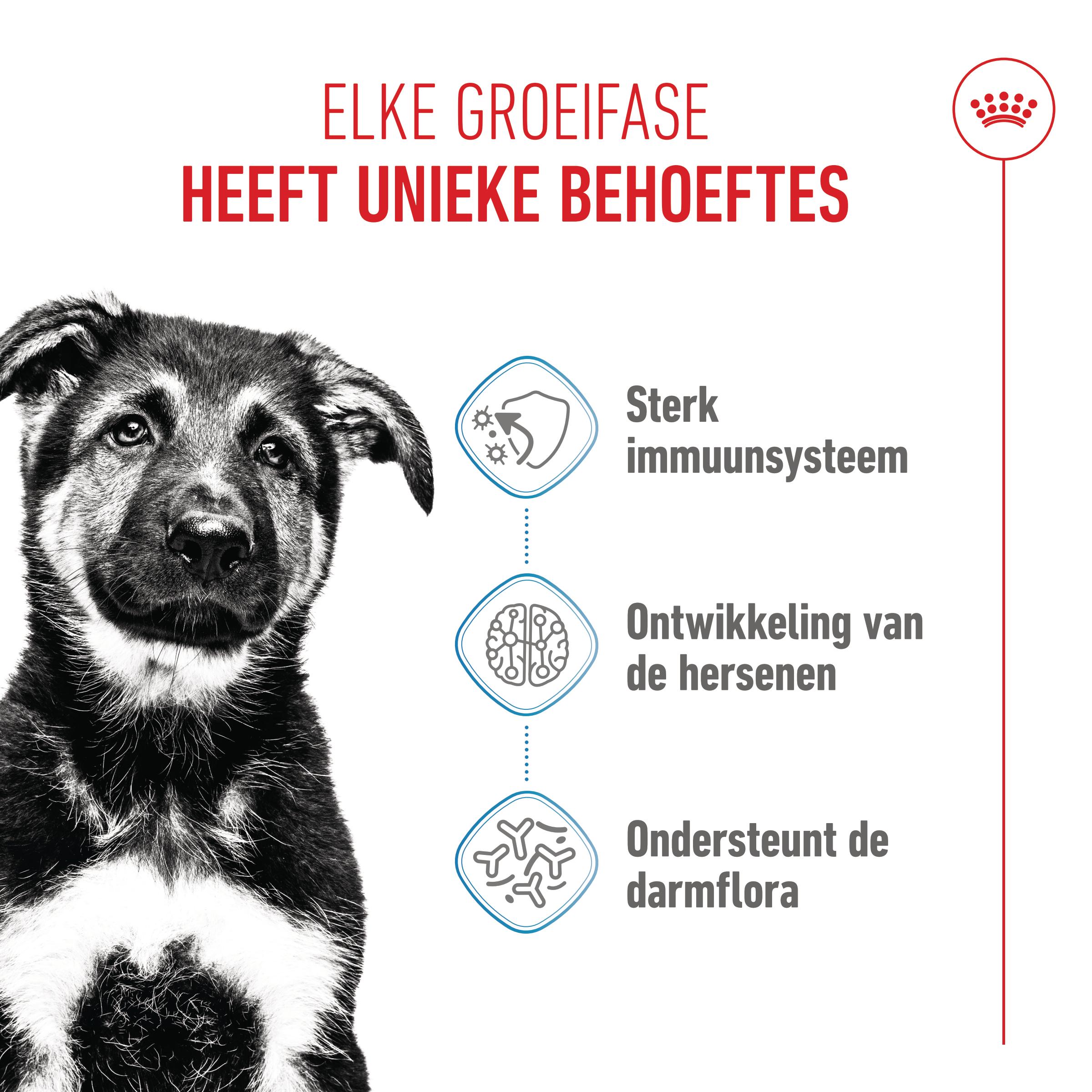 Royal Canin Maxi Puppy - Hondenvoer