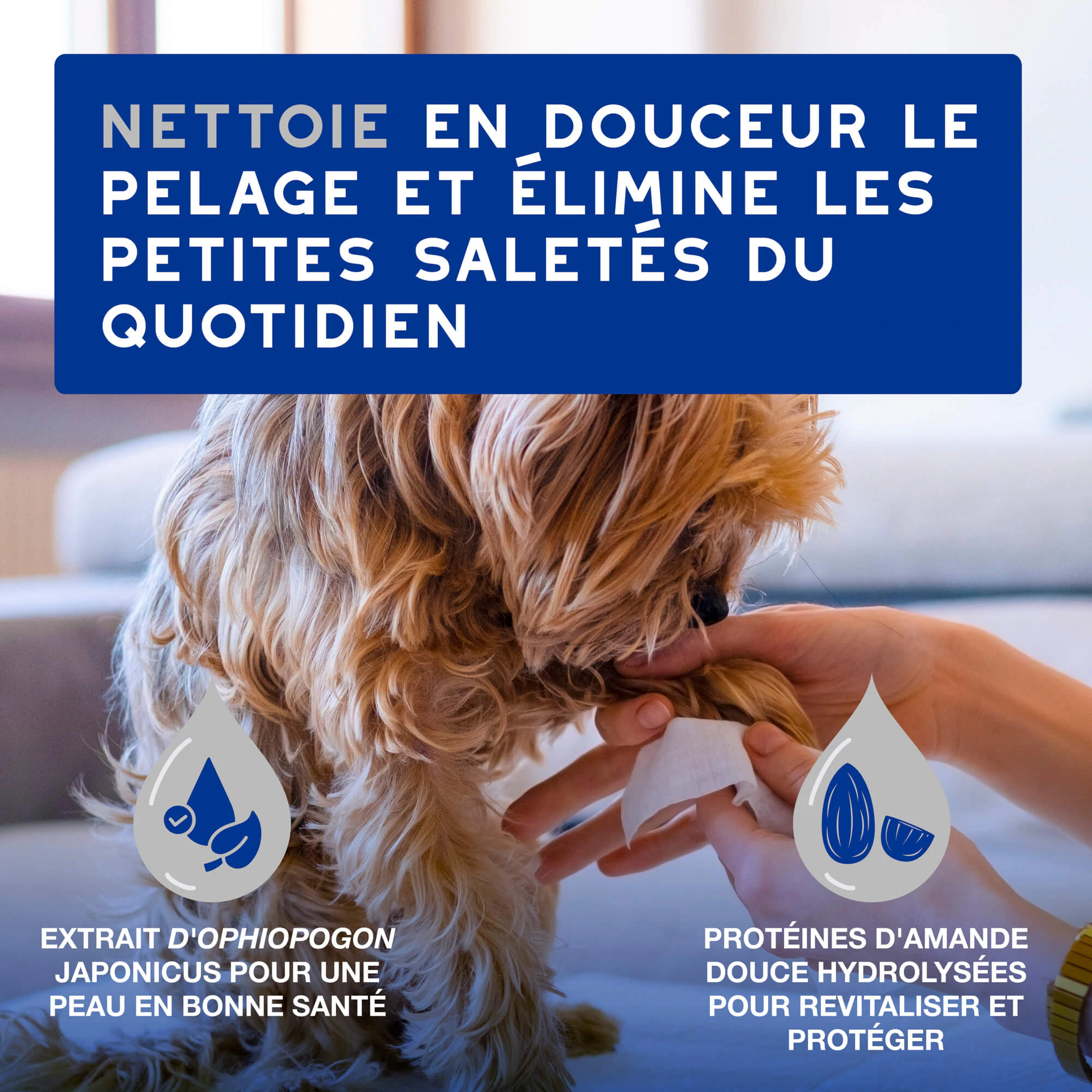 Douxo Spa - Lingettes Nettoyantes