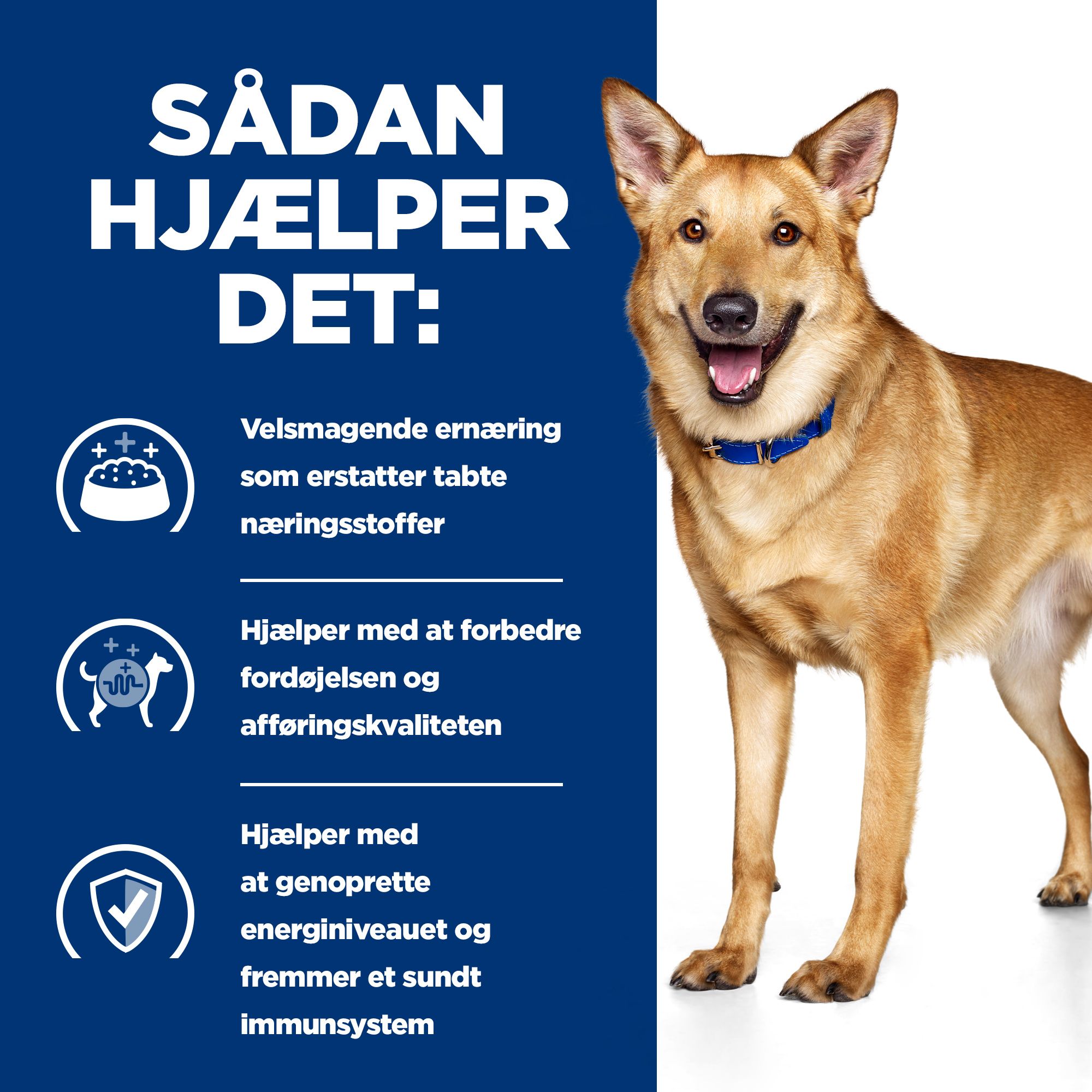 Hill's i/d Digestive Care Stew - Prescription Diet - Hund