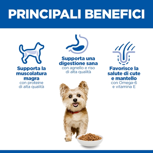 Hill's Science Plan Small & Mini - Adult - Agnello e Riso