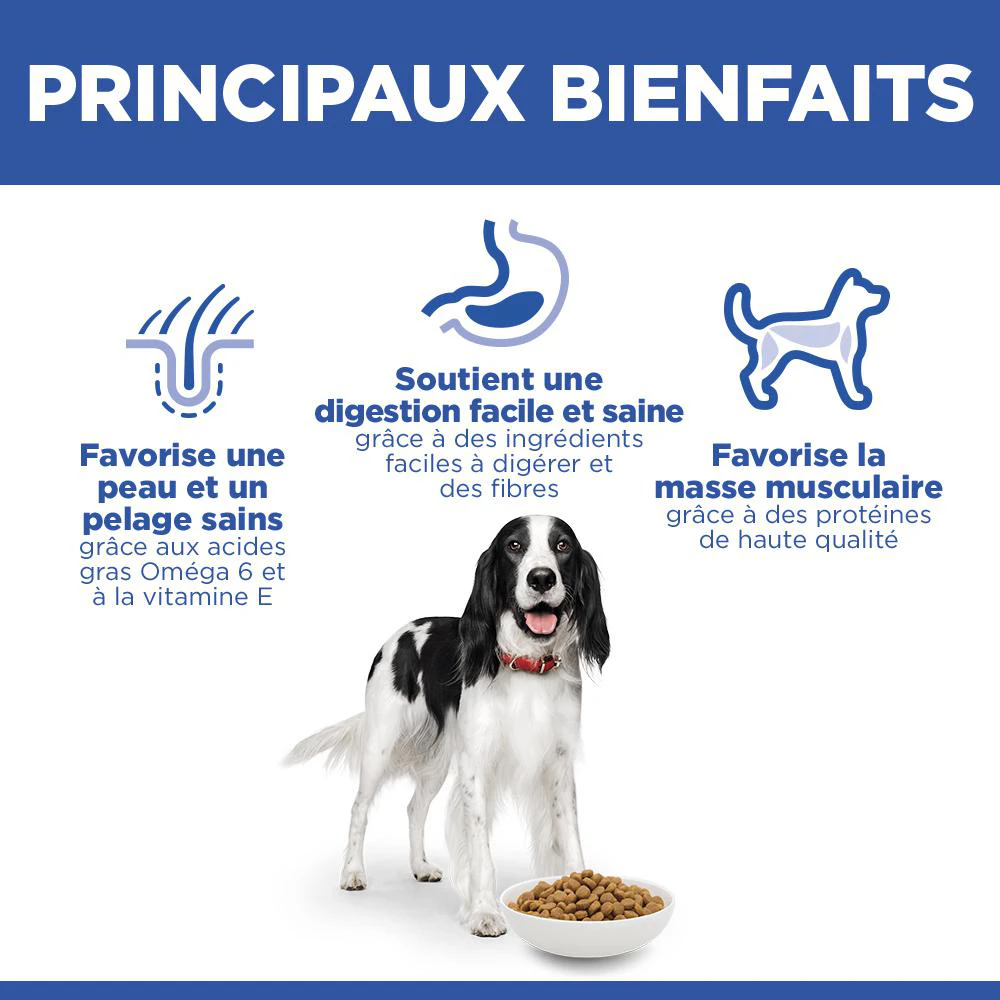 Hill's Science Plan - Medium - Adult - Poulet