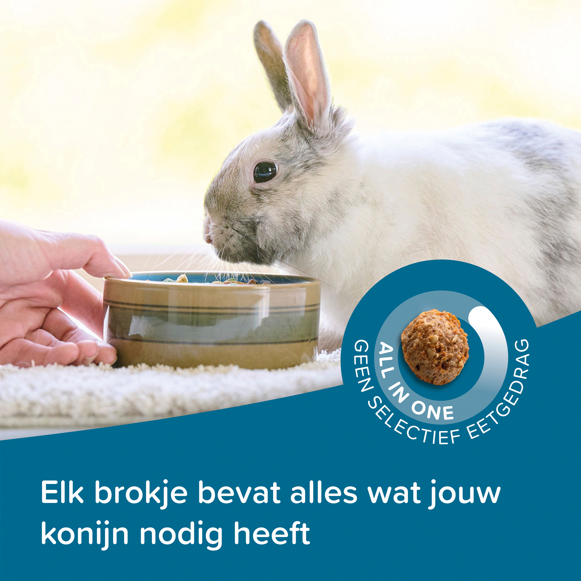 Beaphar Care+ Konijn