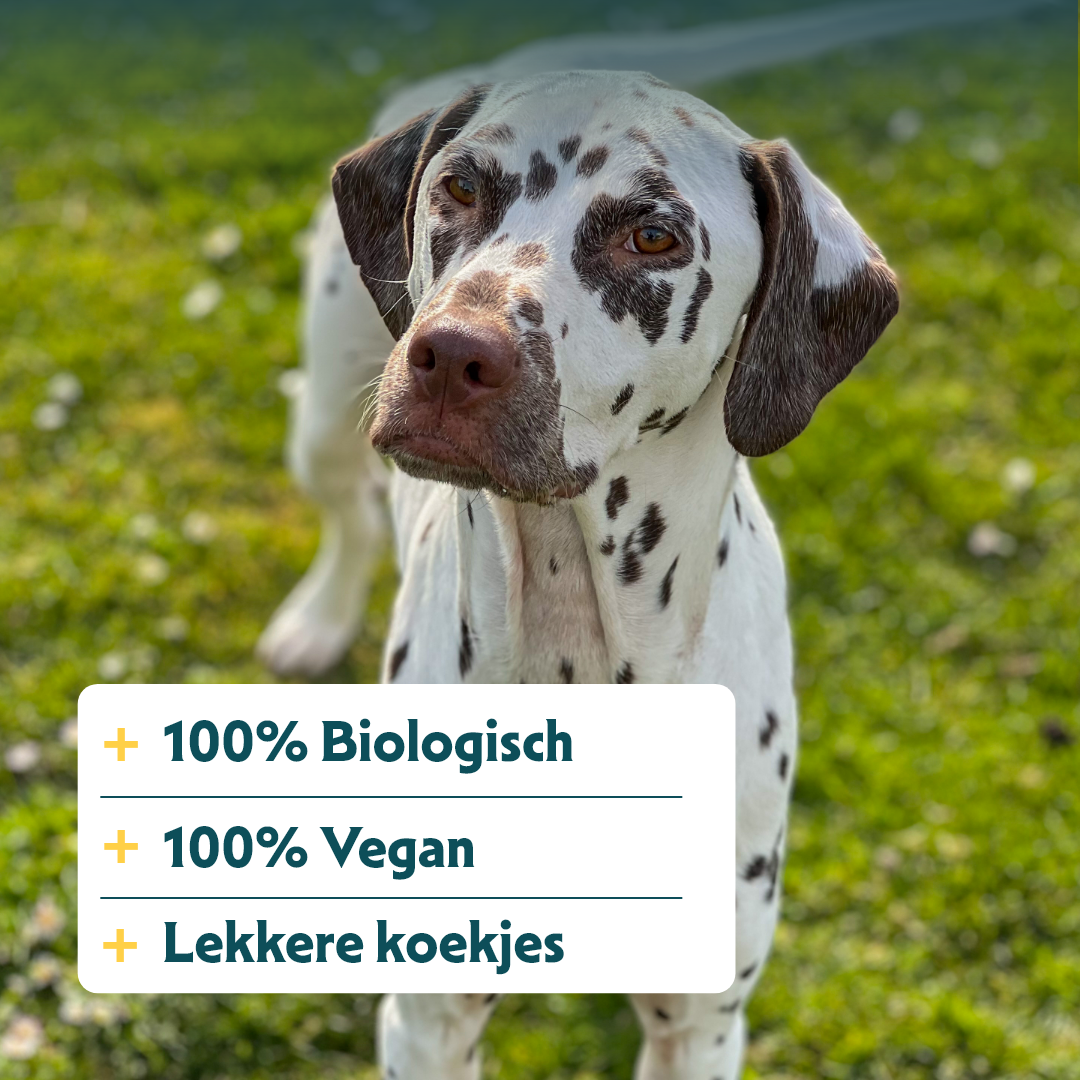 Yarrah - Hondensnack Vega Hondenkoekjes Grote Honden Bio
