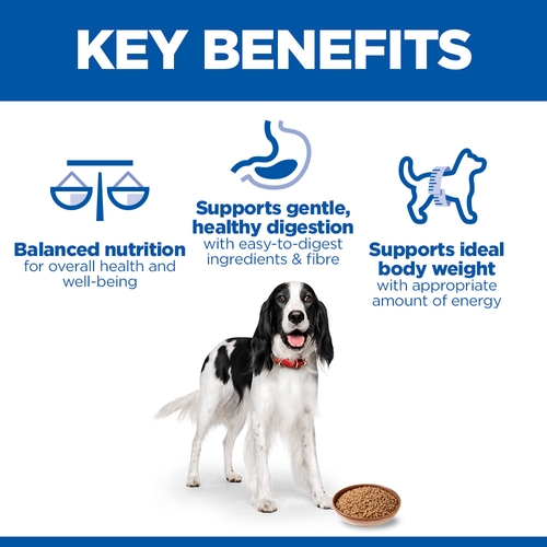 Hill's Science Plan - Medium - Adult - Turkey - Tin