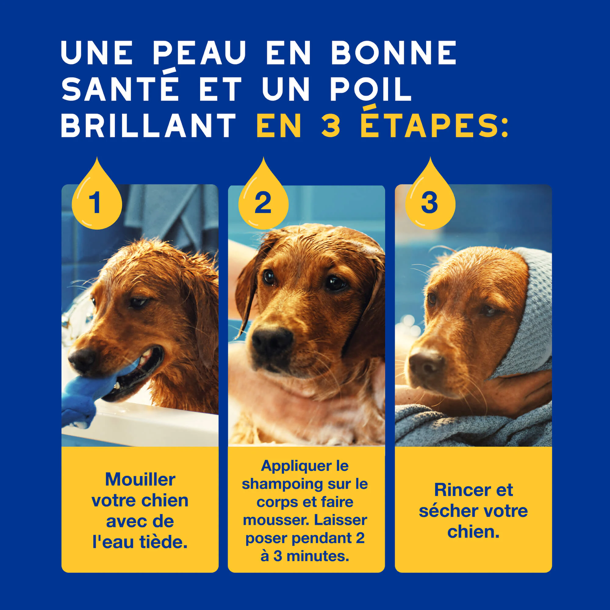 Douxo Spa Shampooing Hydratant