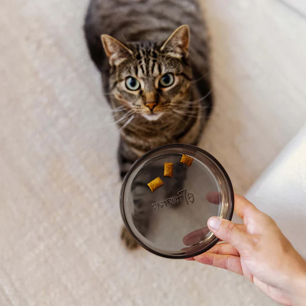 District 70 DAWN Gamelle en verre - Chat