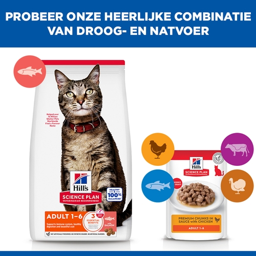 Hill's Science Plan - Feline Adult - Salmon