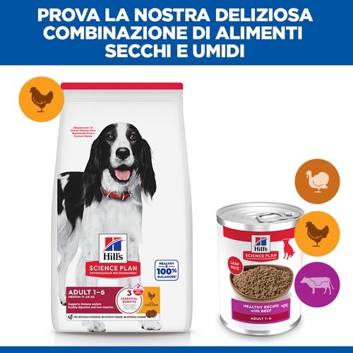 Hill's Science Plan Medium - Adult - Manzo - Lattina