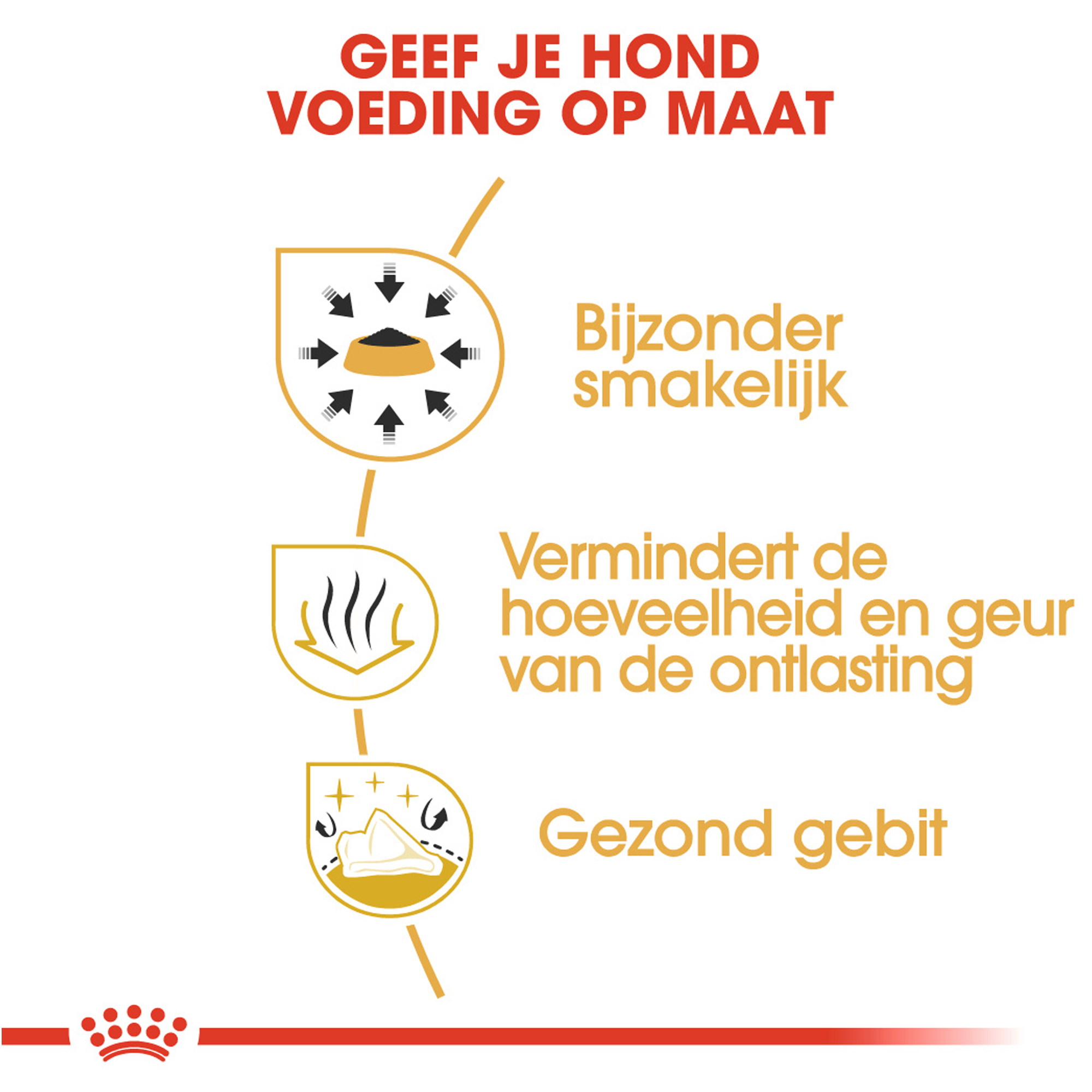 Royal Canin Chihuahua Adult - Hondenvoer