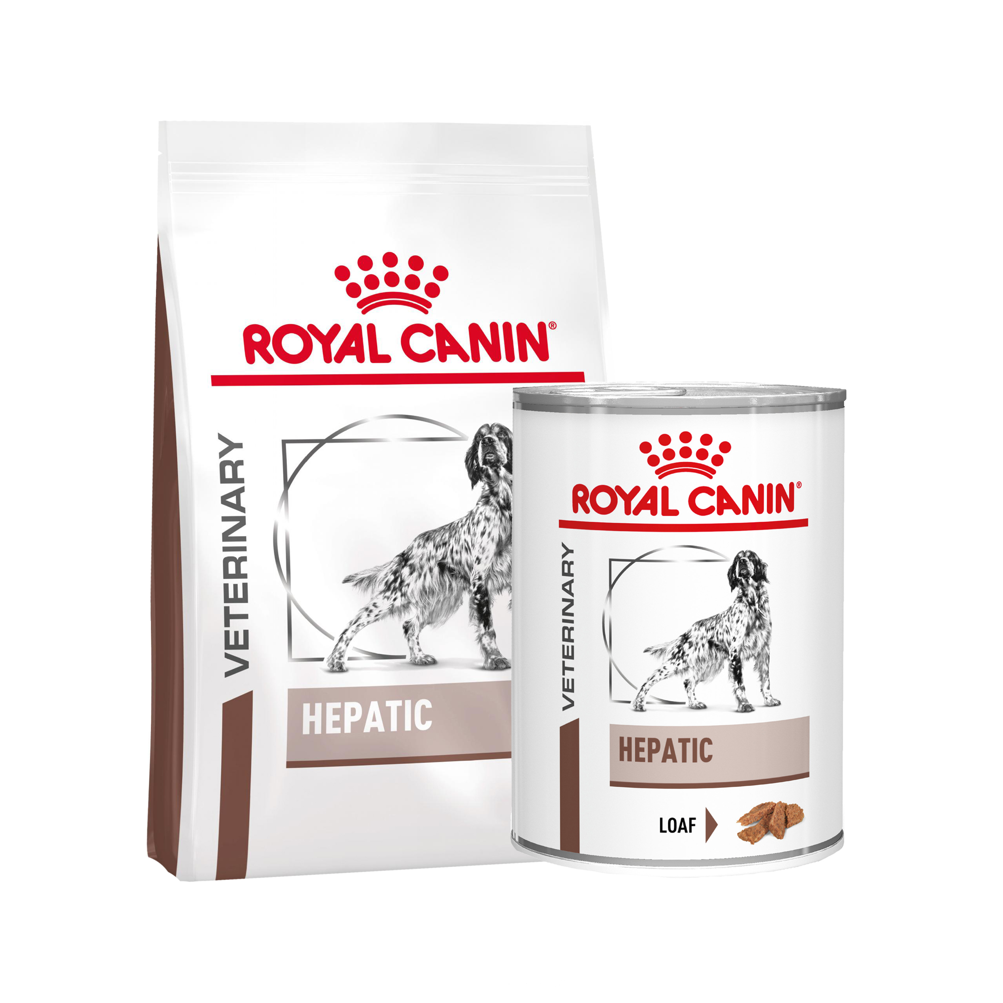 Royal Canin Hepatic | Hunde | Bestellen | Medpets.de