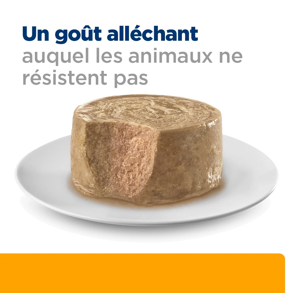 Hill's c/d Multicare - Prescription Diet - Félin - Mousse