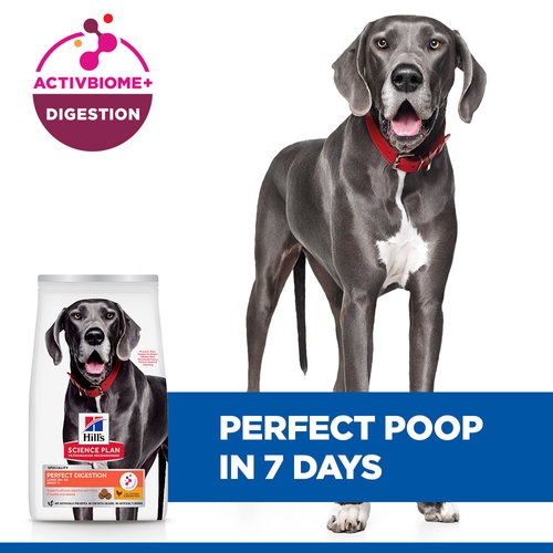 Hill's Science Plan Adult Perfect Digestion Large Breed Dog Food