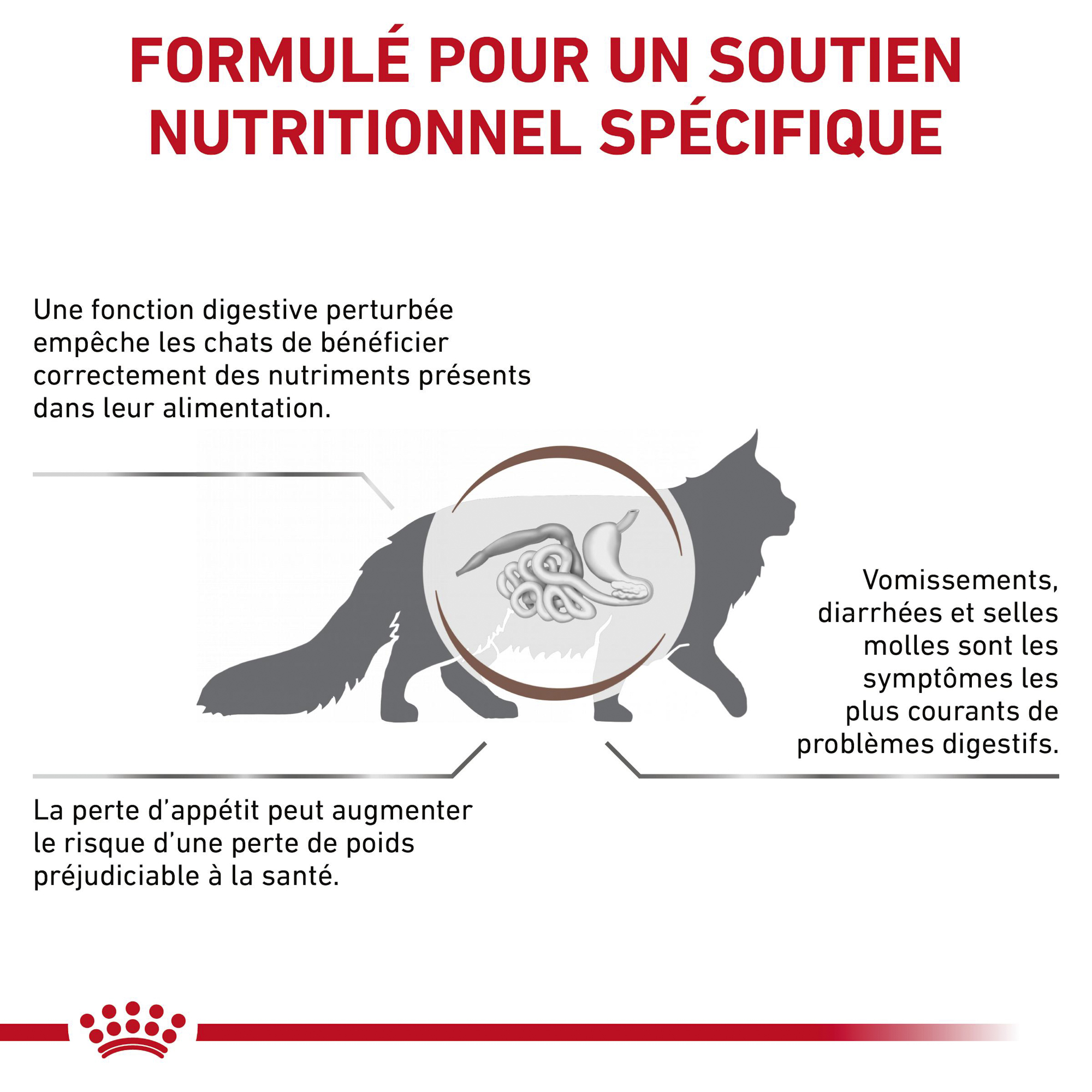 Royal Canin Gastrointestinal Chat