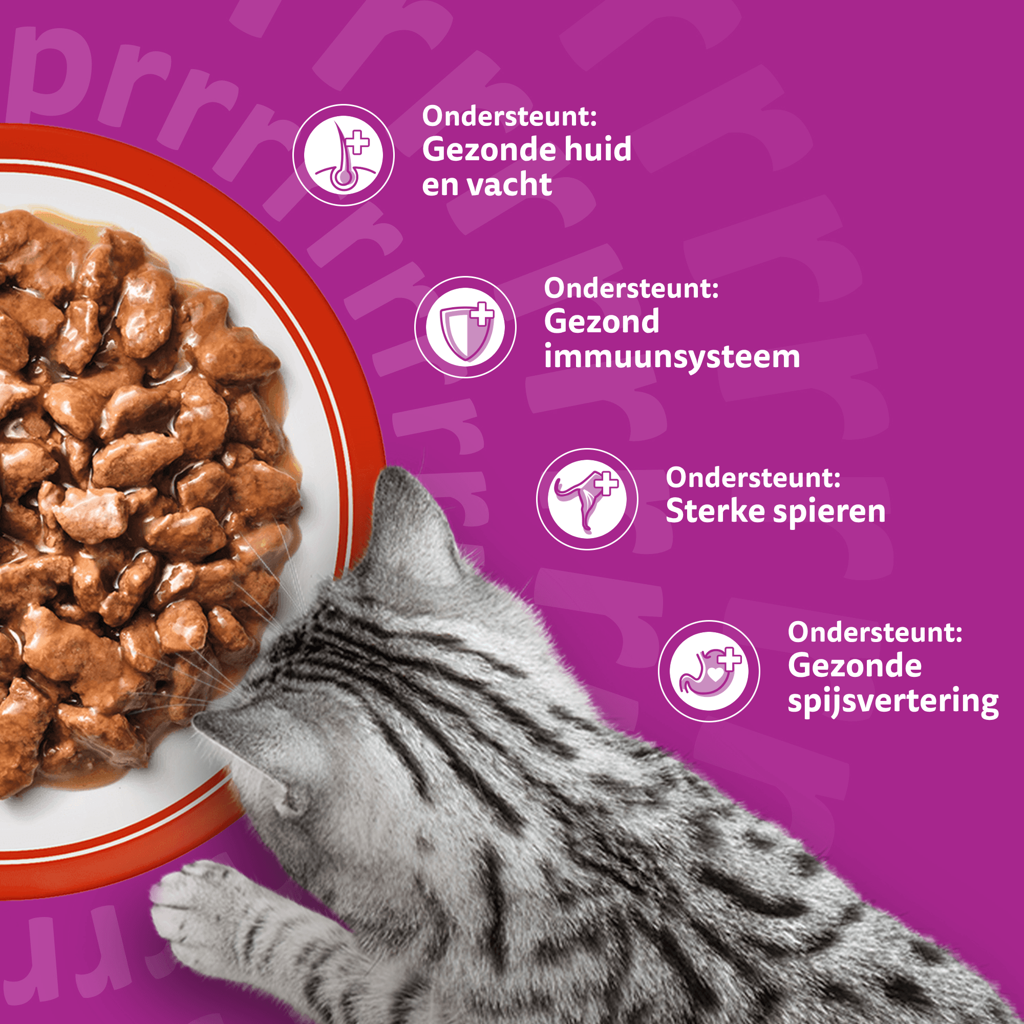 Whiskas 1+ Selectie - Multipacks
