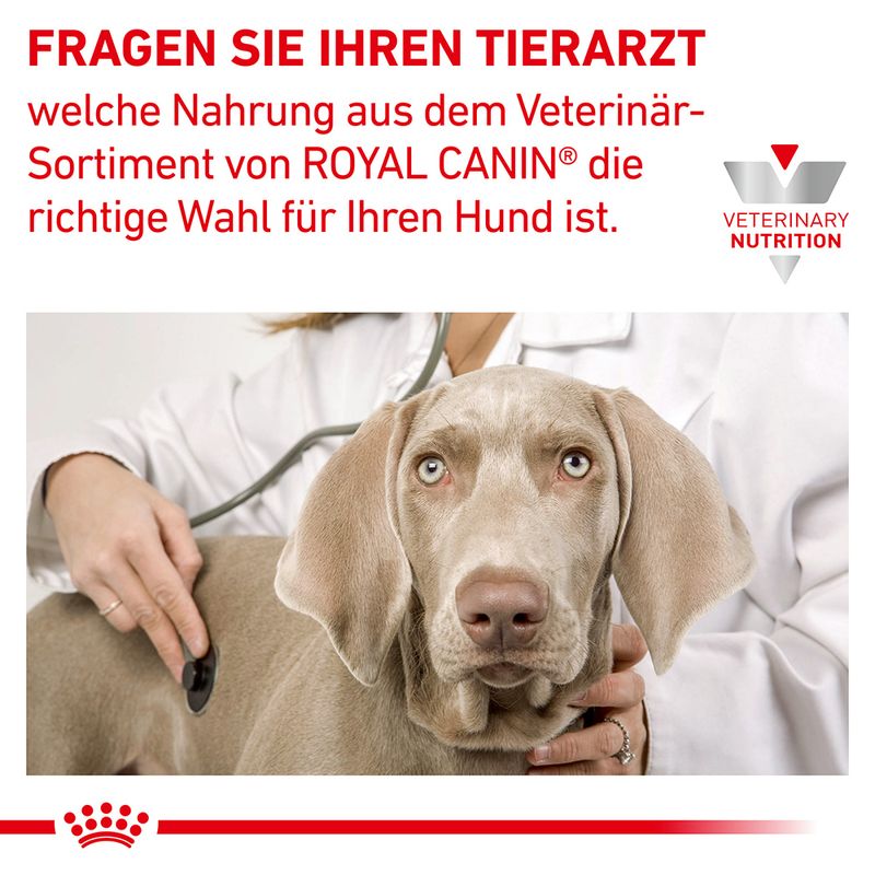 Royal Canin Anallergenic hypoallergenes Hundefutter Medpets