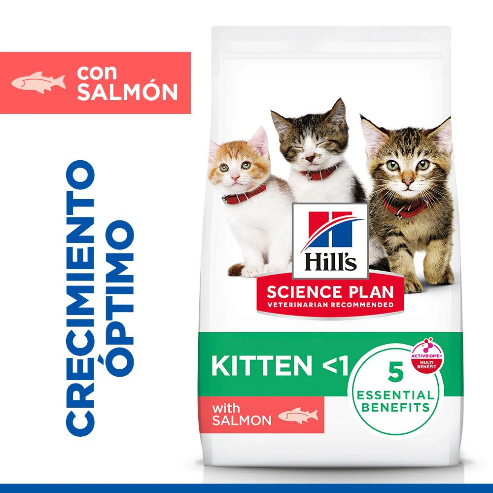 Hill's Science Plan - Gatito - Salmón