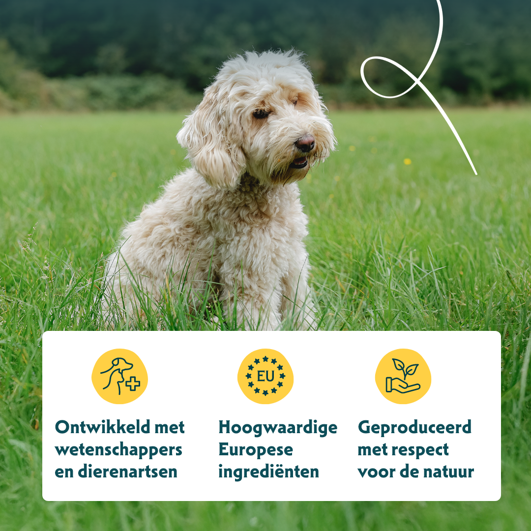 Yarrah - Droogvoer Hond Graanvrij Bio