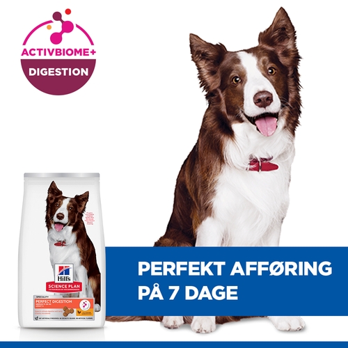 Hill's Science Plan Adult Perfect Digestion Medium Hundefoder
