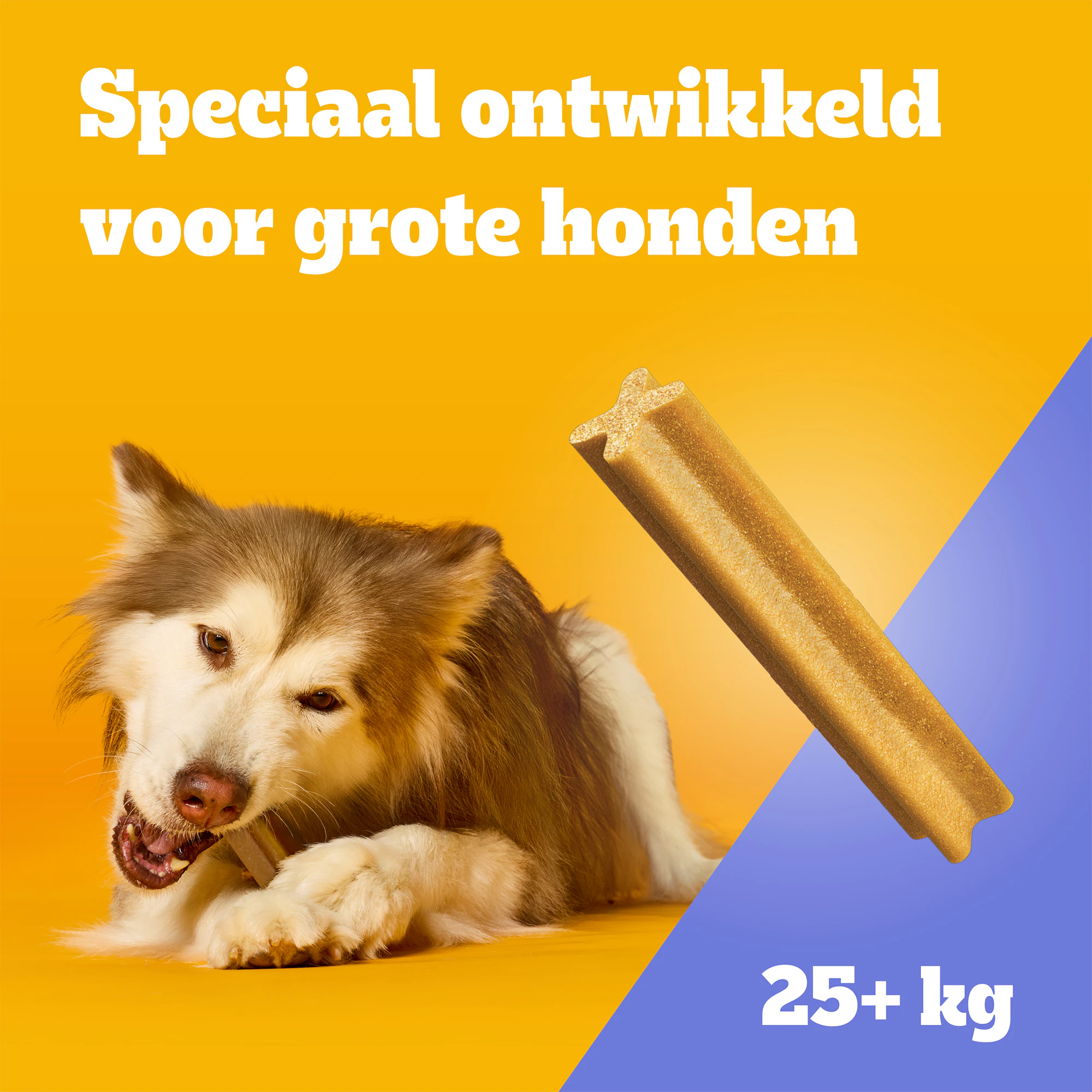 Pedigree DentaStix - Maxi Multipack