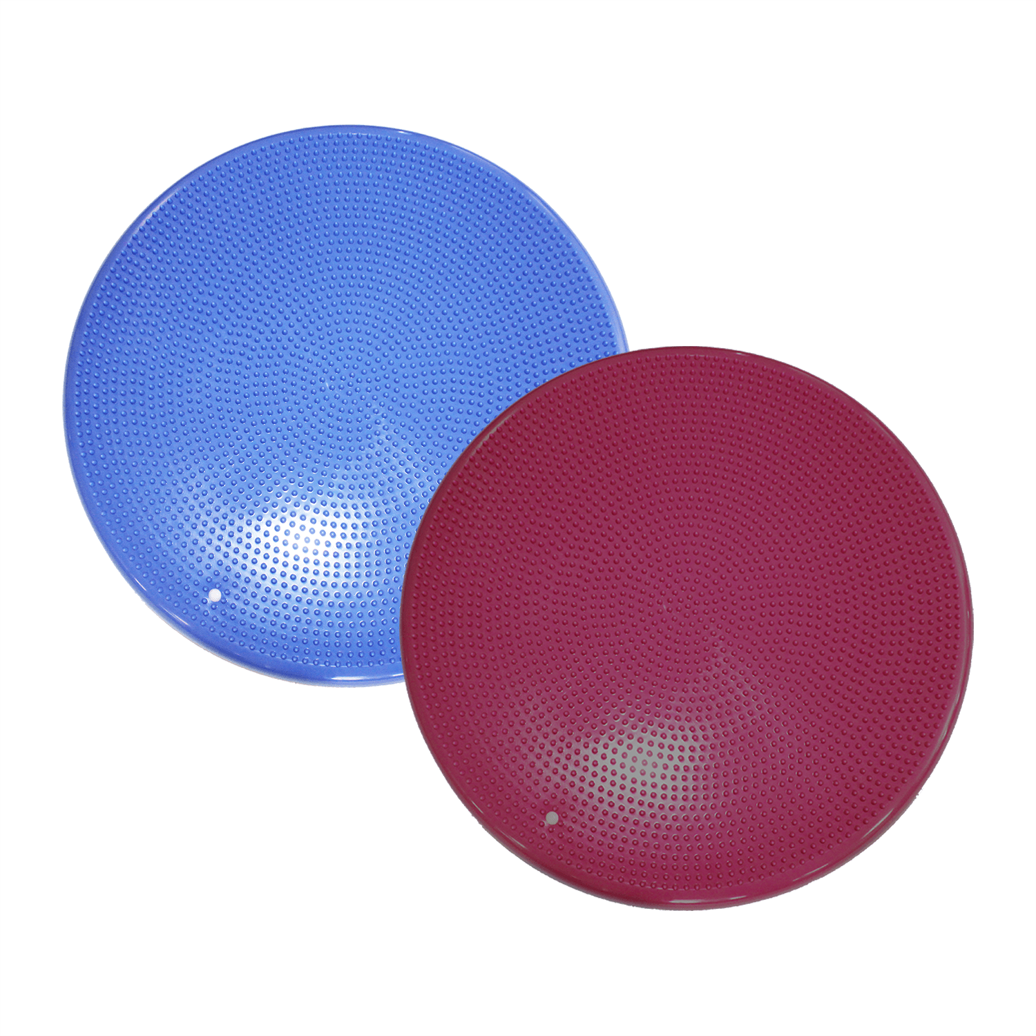 FitPAWS Balance Disc