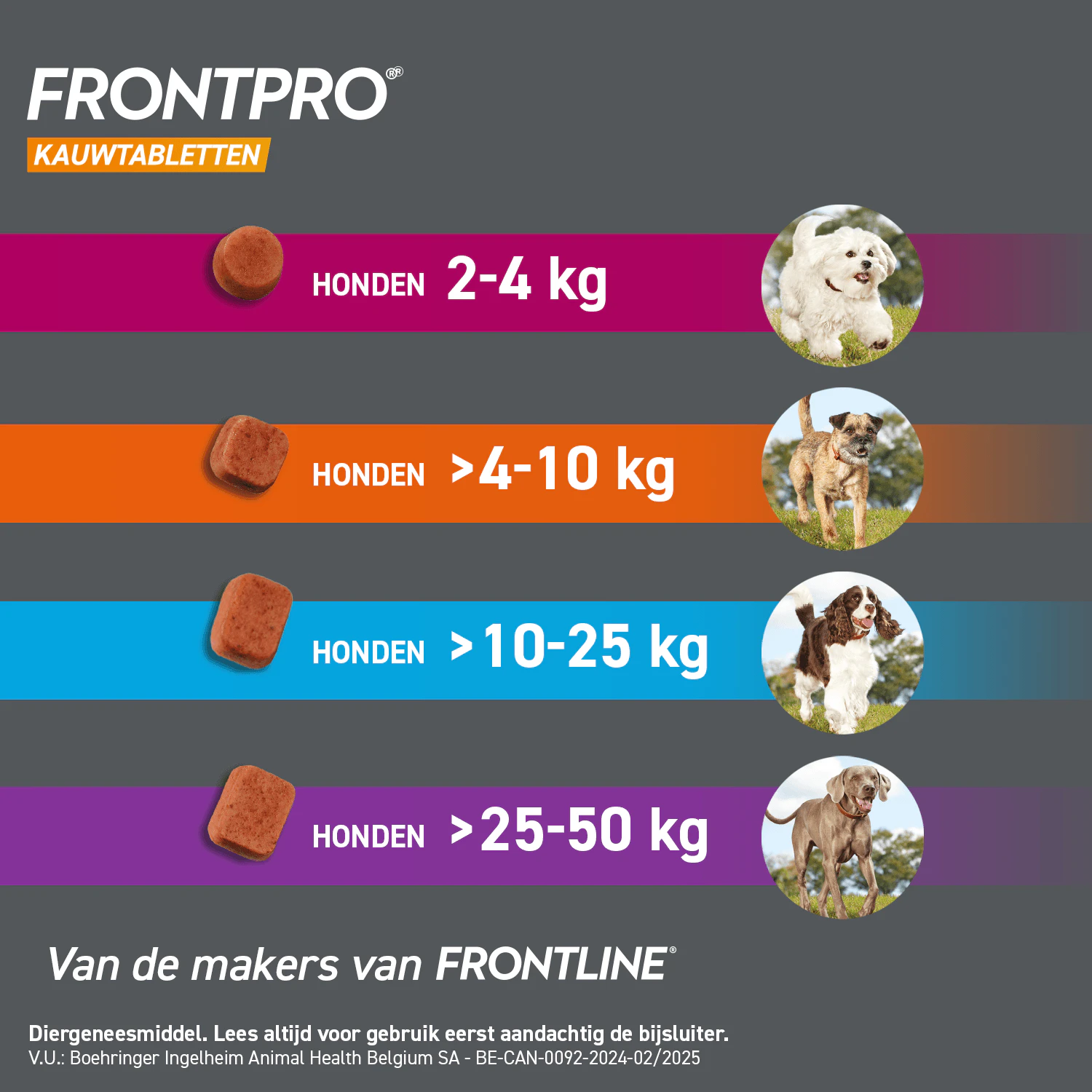 FRONTPRO Kauwtabletten Hond