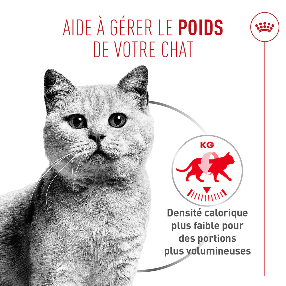 Royal Canin Light Weight Care AirLift Mousse - Nourriture pour chat