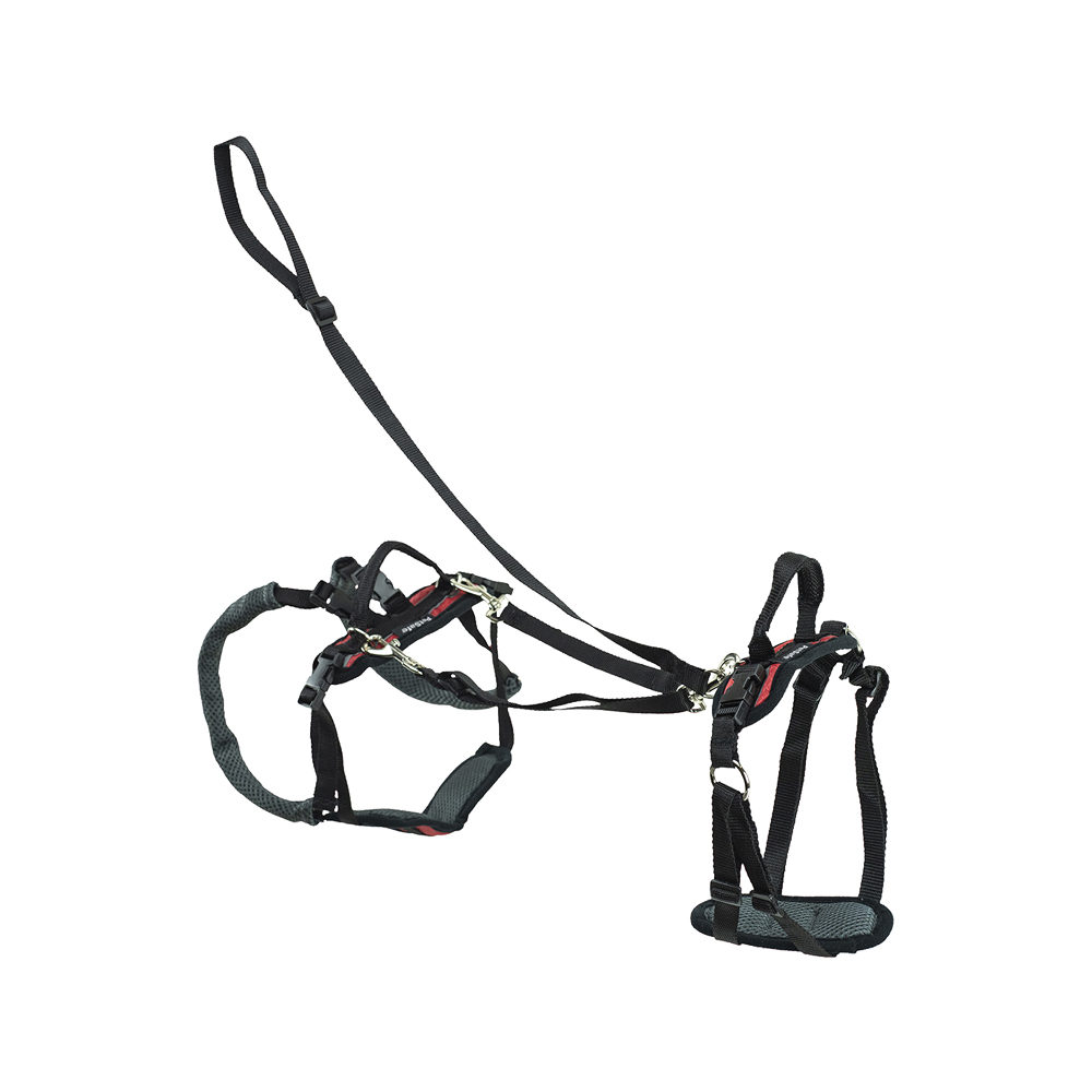 Petsafe Carelift Support Harness Complete - Rouge - S