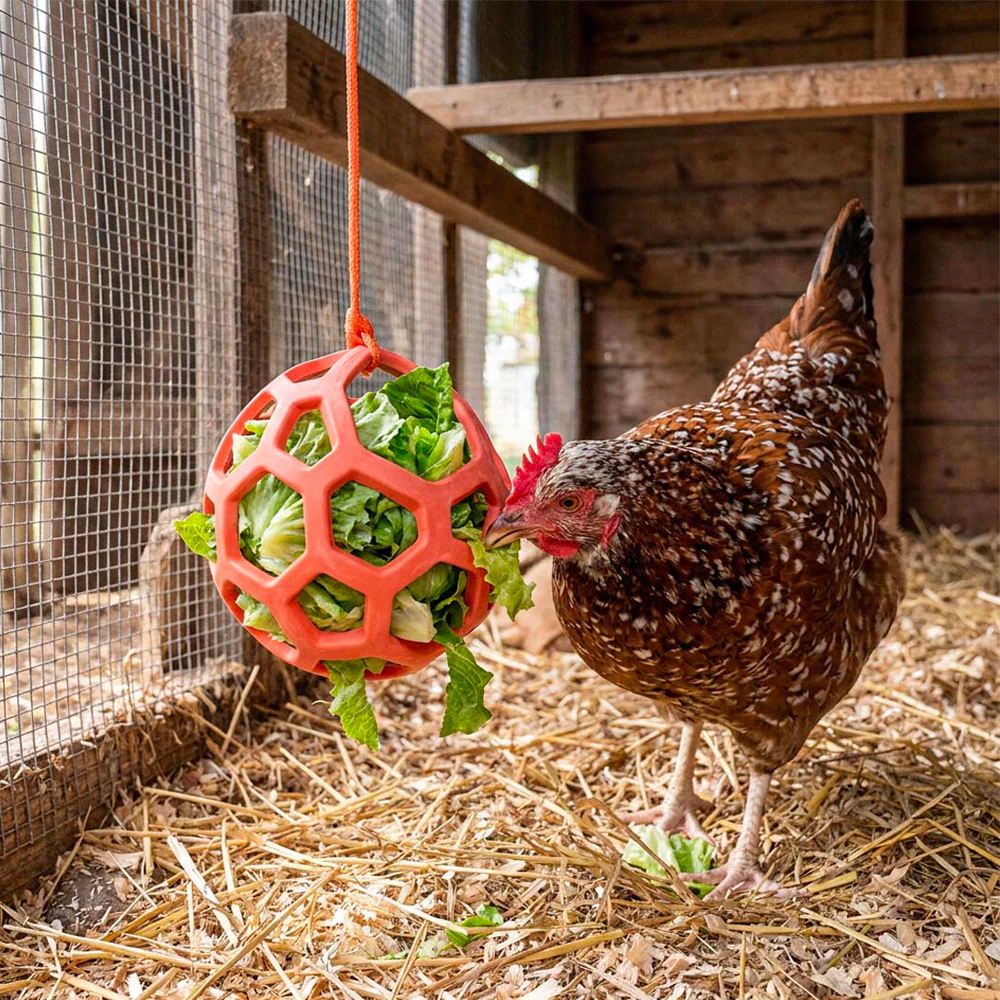 Duvoplus Feeding Ball for Chickens
