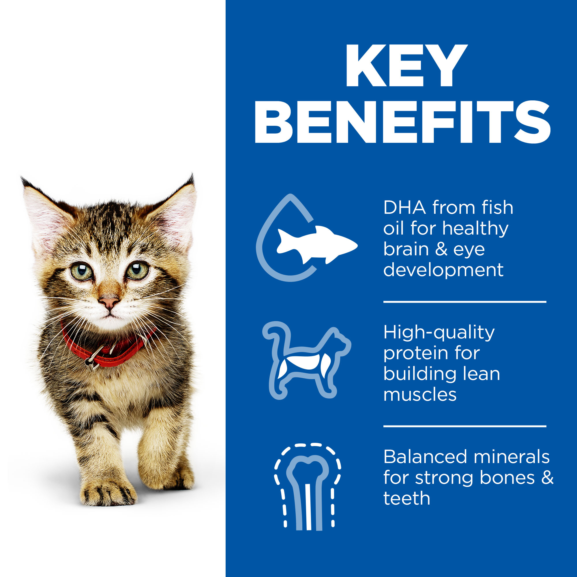 Hill s Science Plan Kitten Healthy Development Vetsend