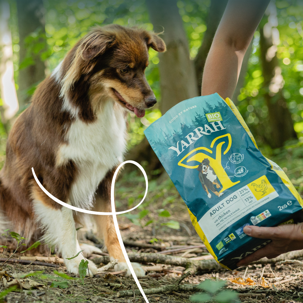 Yarrah - Droogvoer Hond met Kip Bio