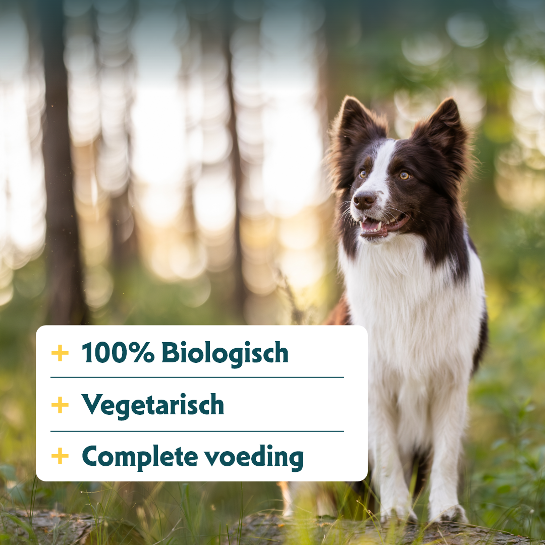 Yarrah - Bio Natvoer Hond Kuipje Chunks Vega