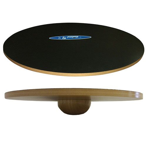 FitPAWS Wobble Board