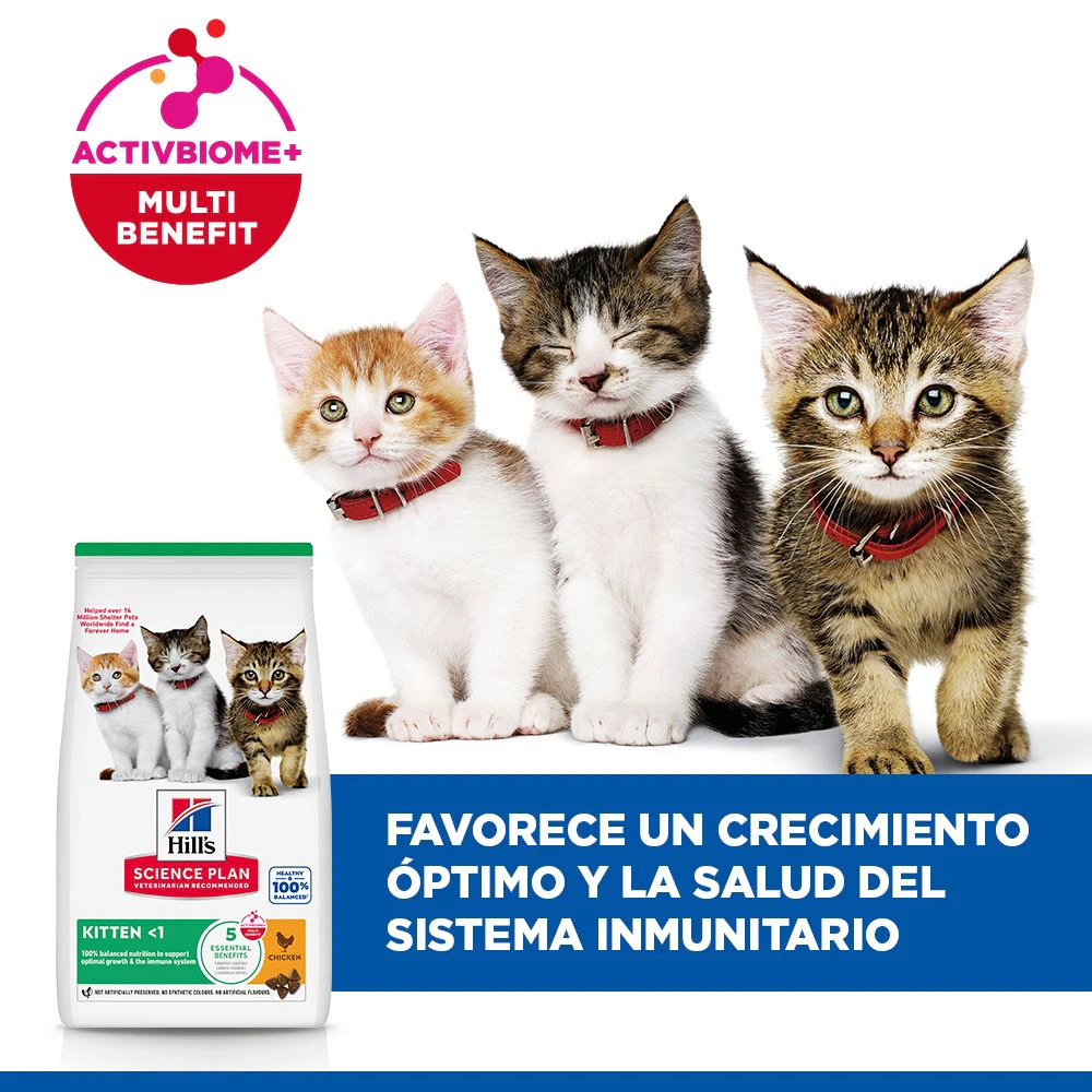 Hill's Science Plan Kitten - Pollo