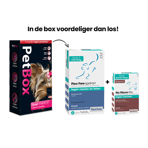 PetBox Hond