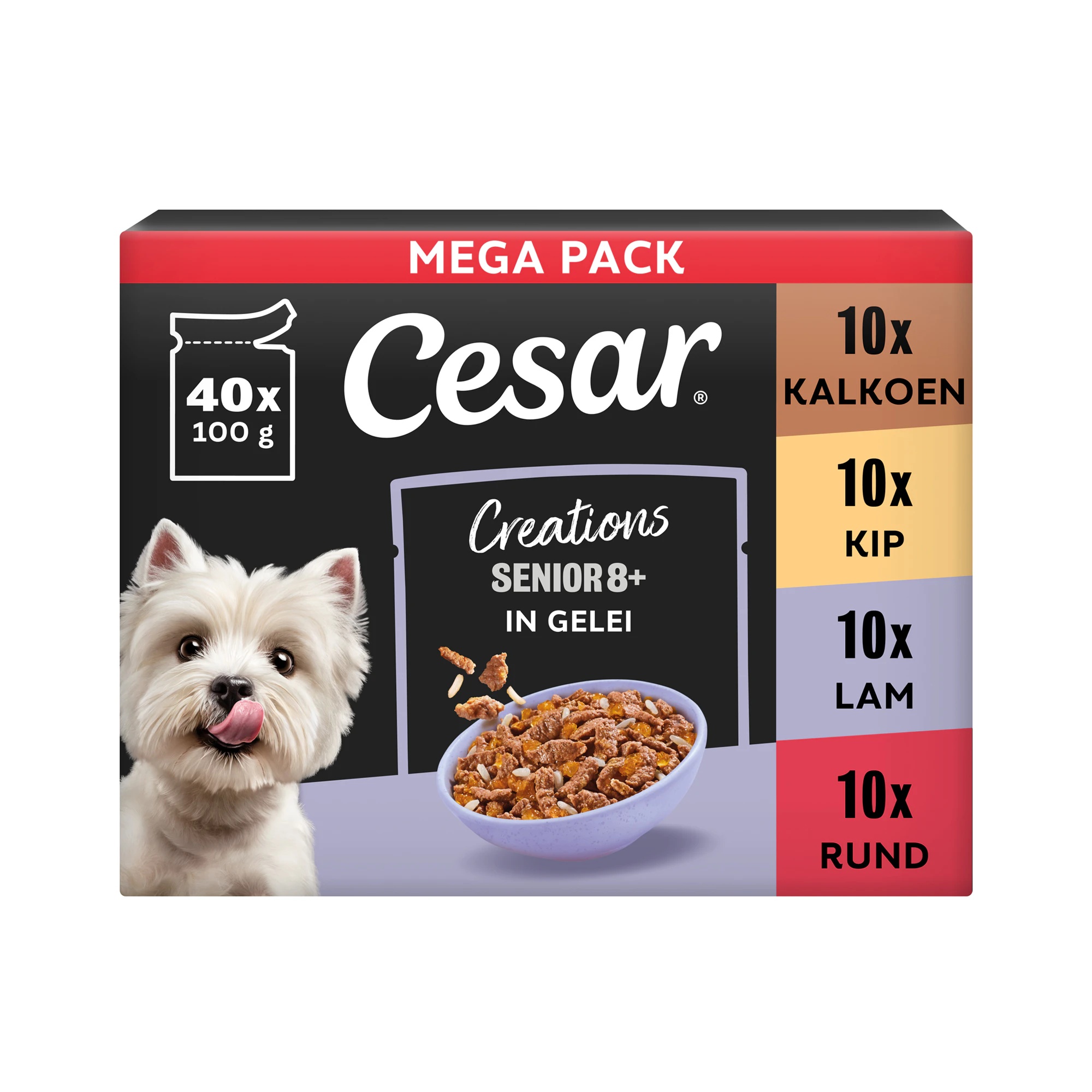Cesar Creations Senior 8+ in Gelatina - Mega Pack - 40 x 100 g