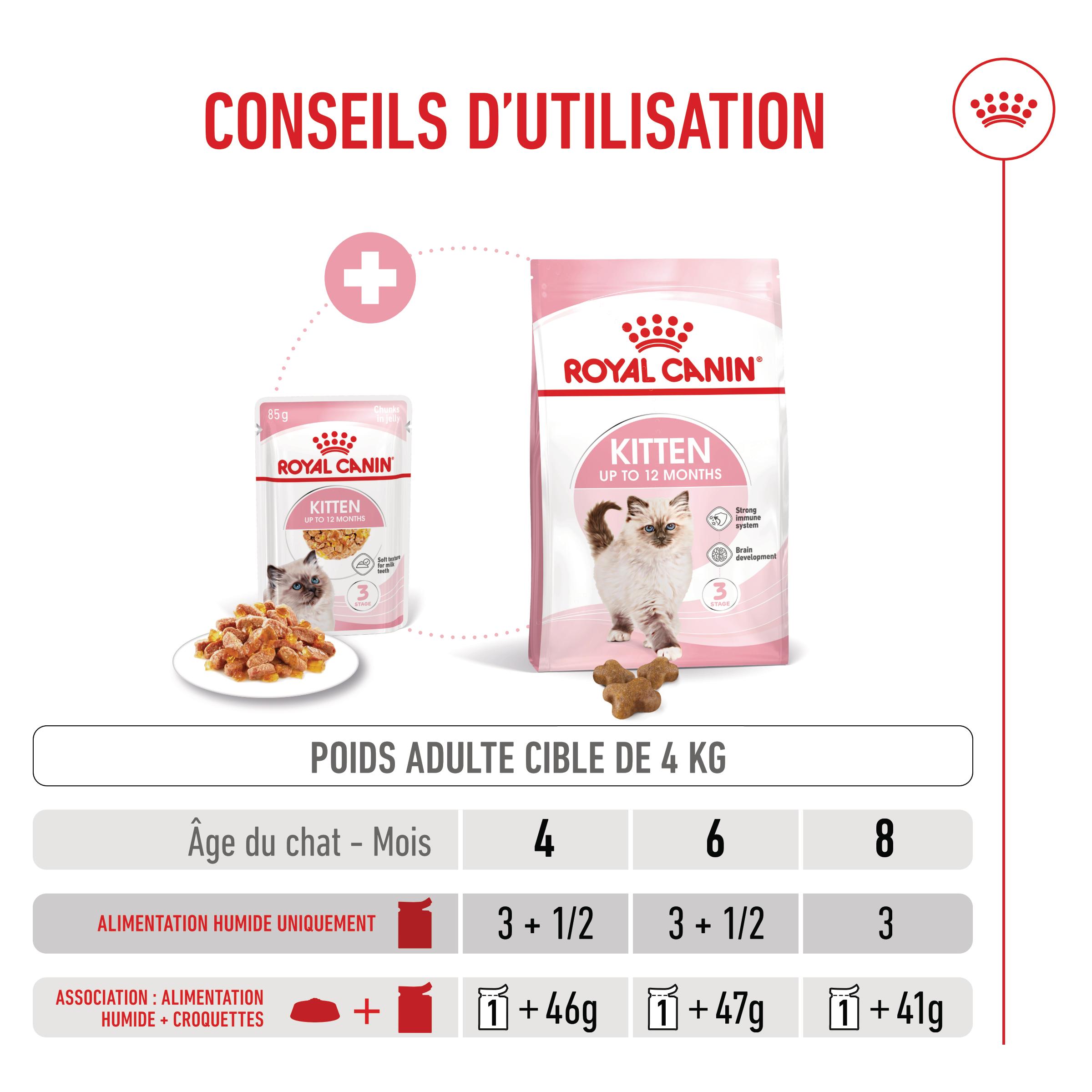Royal Canin Kitten Jelly - Sachet