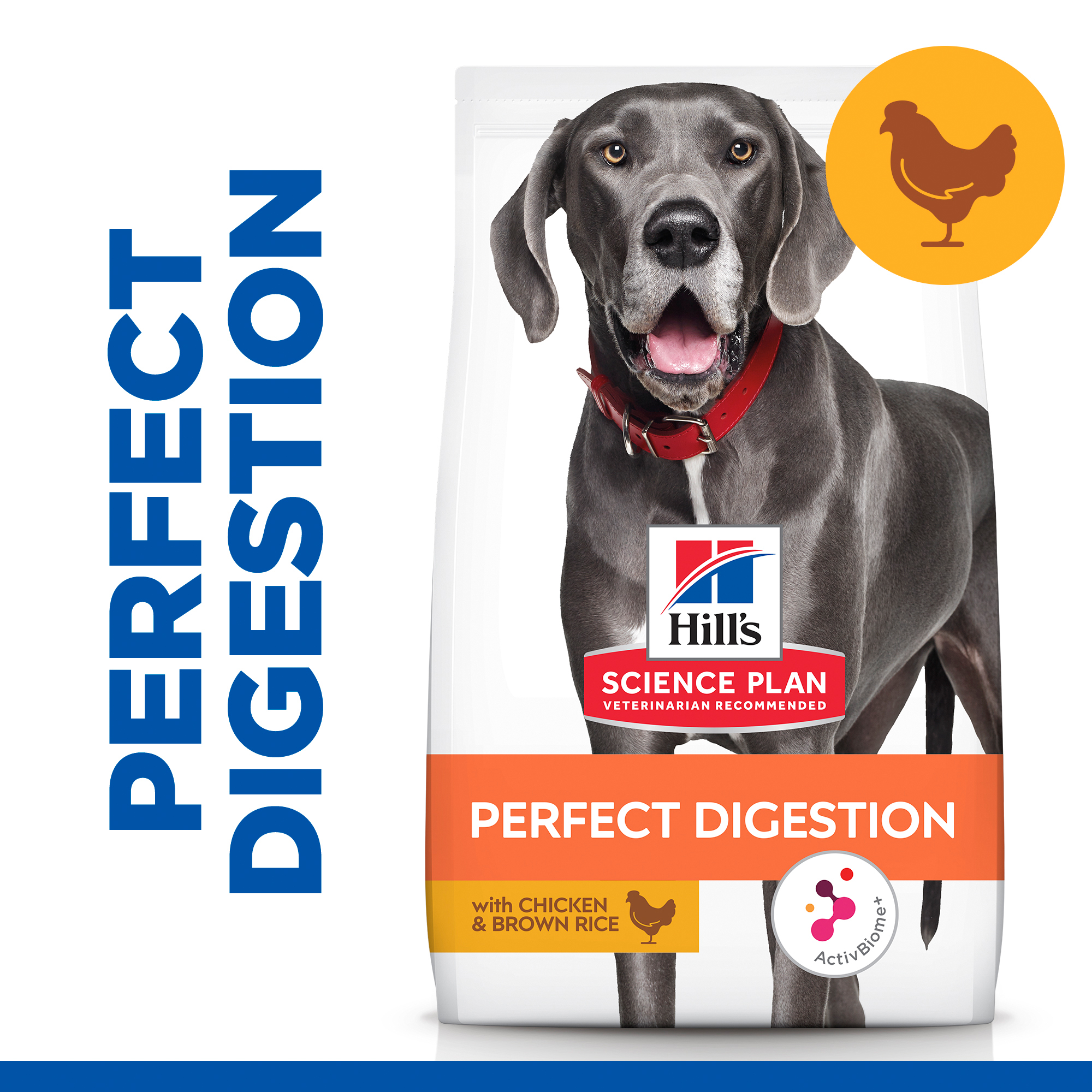 Science plan large outlet breed dog food