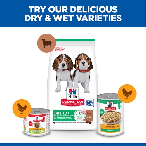 Hill's Science Plan - Puppy - Medium - Lamb & Rice