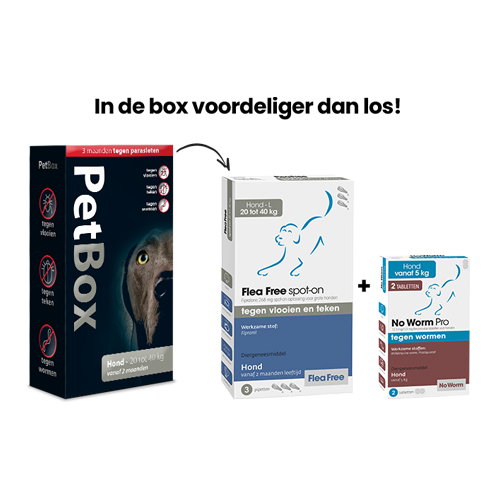 PetBox Hond