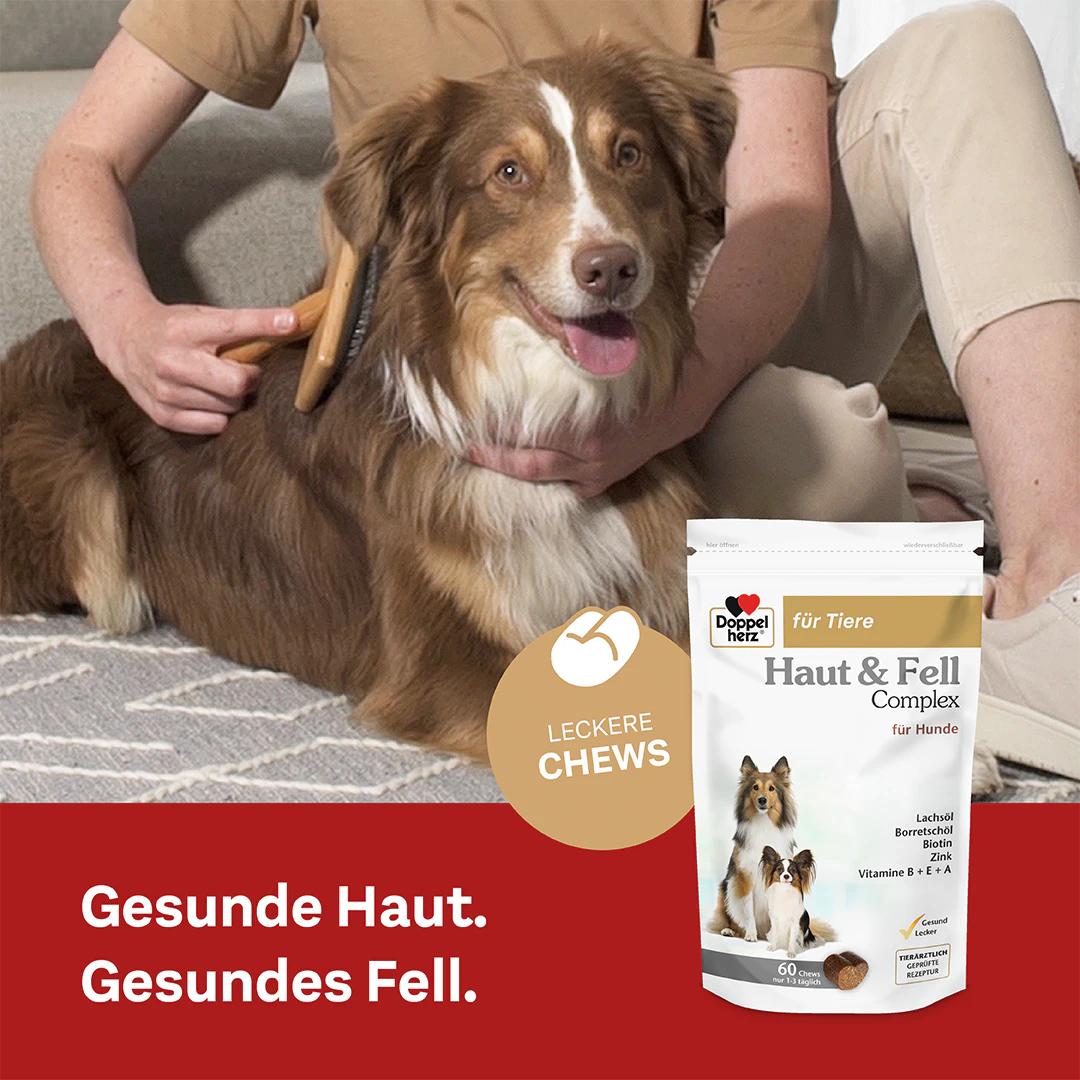 Doppelherz Skin & Coat Complex for Dogs