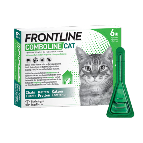 Frontline Combo Line Kat - 6 Pipetten