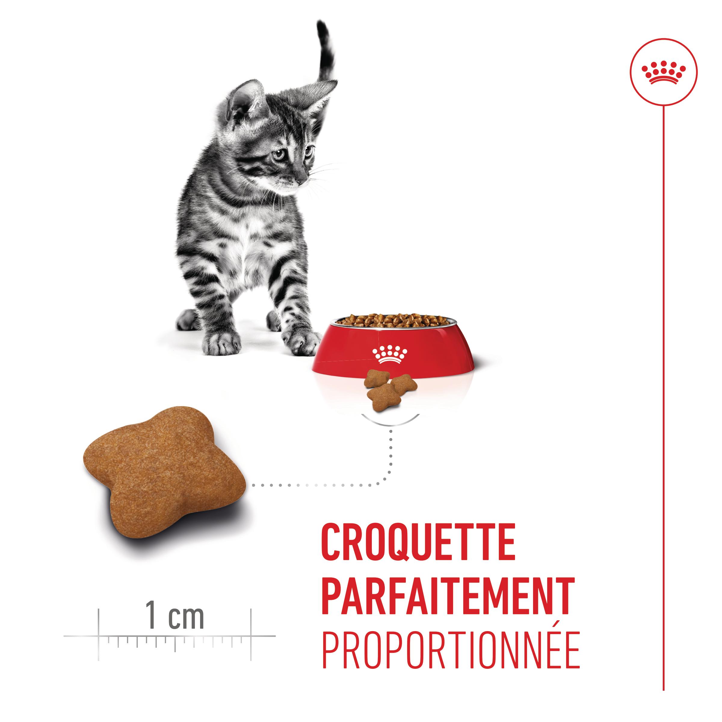 Royal Canin Kitten Sterilised