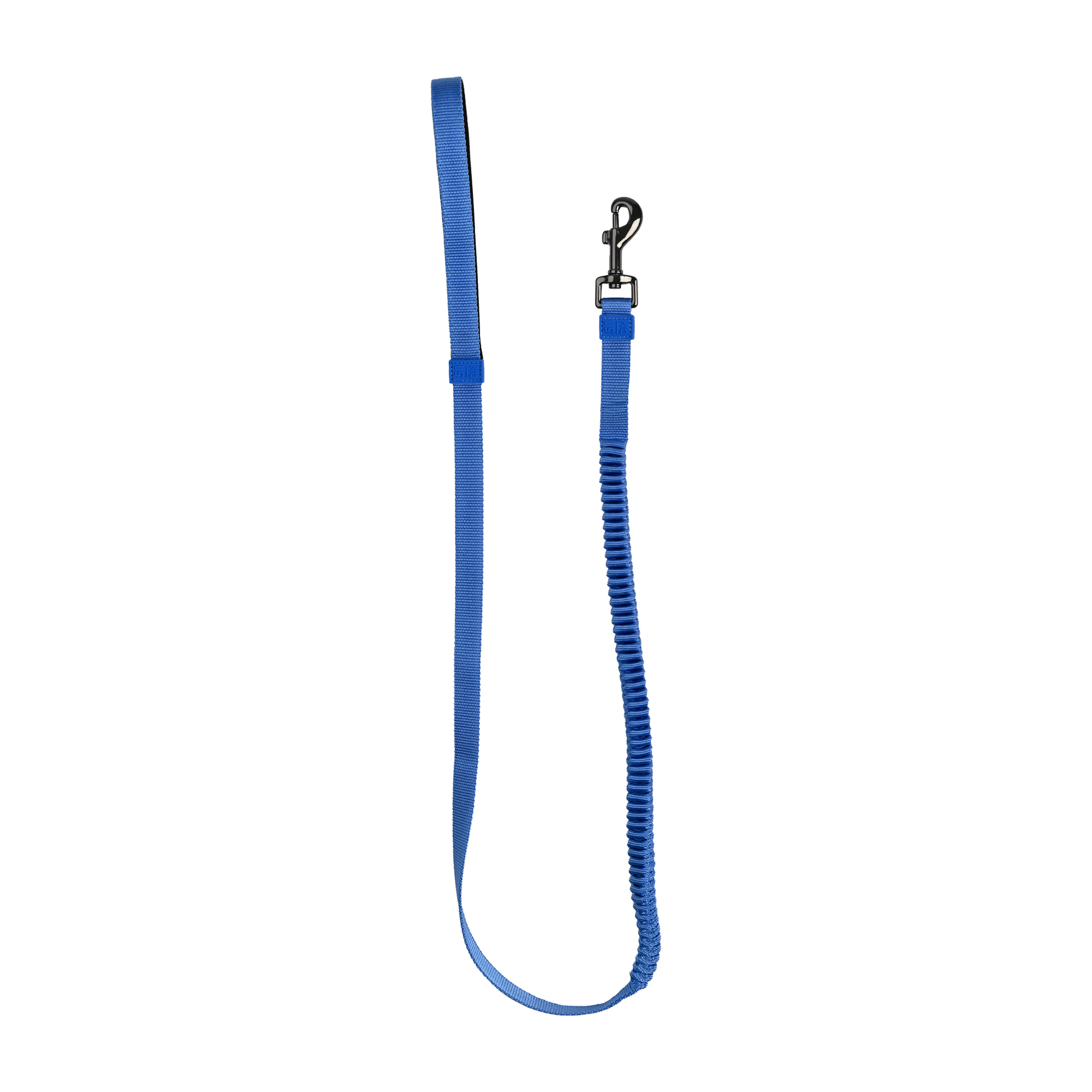 51 Degrees North Wanderful Leash Bungee